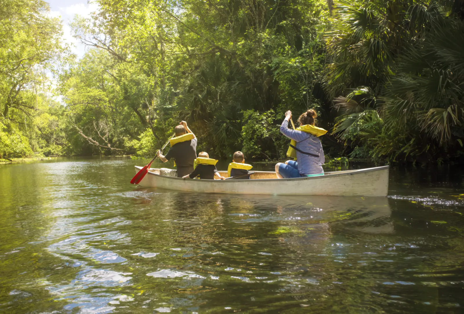 Family paddling a canoe on a calm Southwest Florida waterway