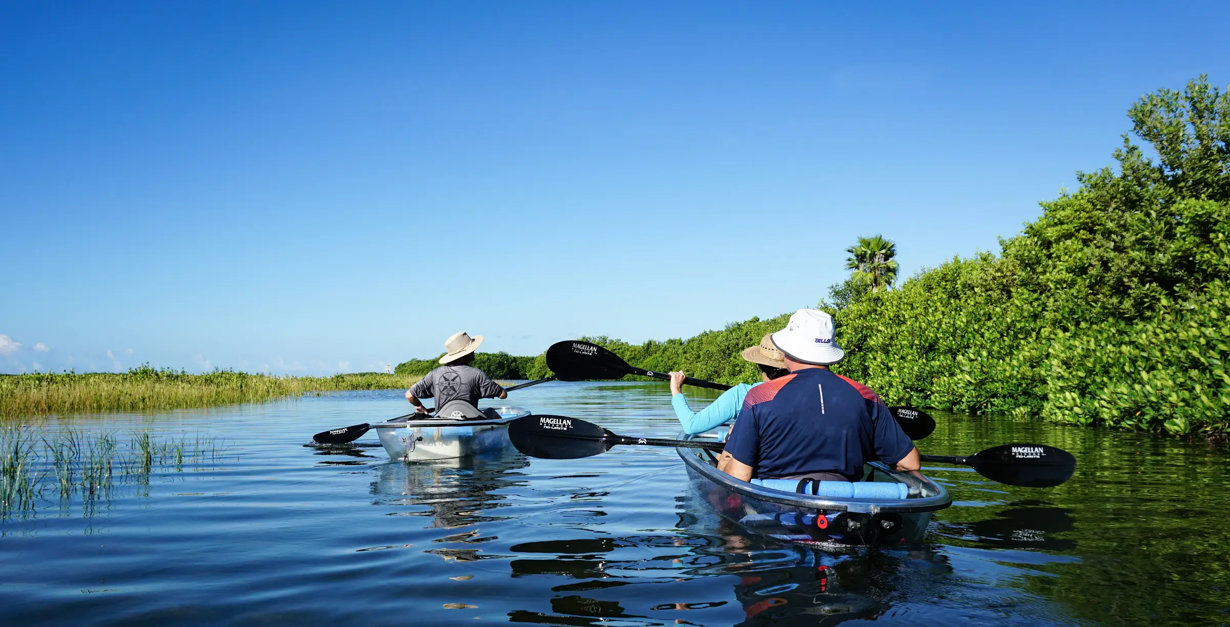 Kayakers paddling calm mangrove waters along the Great Calusa Blueway